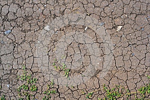Dry mud cracked ground texture. Drought season background. Dry and cracked land, dry due to lack of rain. Effects of