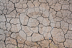 Dry mud cracked ground texture. Drought season background. Dry and cracked land, dry due to lack of rain. Effects of climate