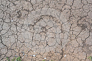 Dry mud cracked ground texture. Drought season background. Dry and cracked land, dry due to lack of rain. Effects of climate