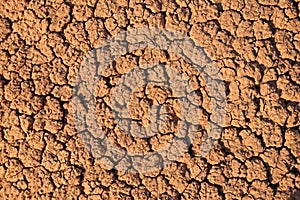 Dry mud cracked pattern in desert ground , natural texture of Earth