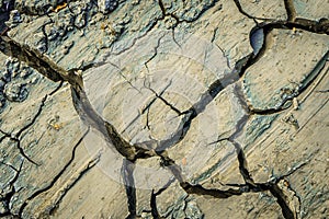 Dry Mud, Cracked textured dry ground , for background