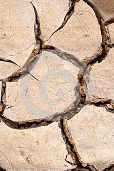 Dry mud cracks texture