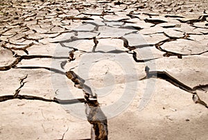 Dry mud cracks texture