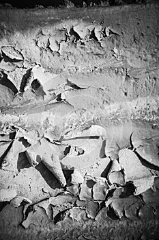 Dry mud pattern in mangrove forest