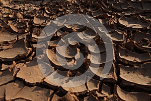 Dry Mud Texture in the Fields