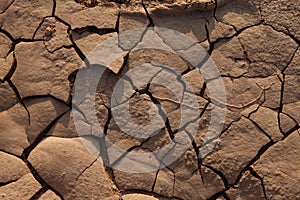 Dry Mud Texture in the Fields