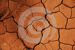 Dry Mud Texture in the Fields