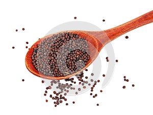 Dry mustard black seeds in wooden spoon isolted on the white background