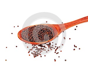 Dry mustard black seeds in wooden spoon isolted on the white background