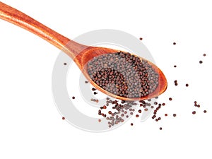 Dry mustard black seeds in wooden spoon isolted on the white background