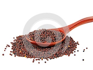 Dry mustard black seeds in wooden spoon isolted on the white background