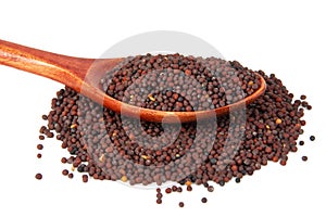 Dry mustard black seeds in wooden spoon isolted on the white background