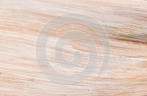 Dry natural palm leaf, organic texture