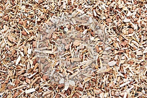 Dry oak bark herb Quercus