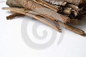 Dry oak bark on a white background. Quercus cortex. Quercus robur