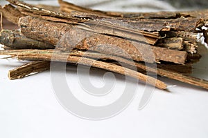 Dry oak bark on a white background. Quercus cortex. Quercus robur