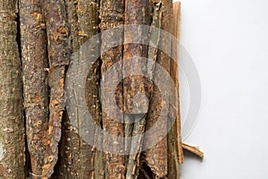 Dry oak bark on a white background. Quercus cortex. Quercus robur