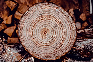 Dry oak firewood stacked in a pile, chopped wood for winter heating of the fireplace. Natural wood background