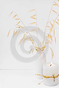 Dry oat twigs in ceramic vase burning candle on white background, styled image for social media, mockup