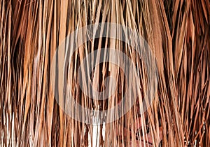 Dry old palm leaves, background texture, natural background