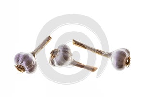 Dry organic bulbs isolated on white background with copy space above