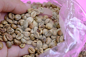 Dry organic green bean coffee