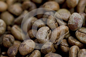 Dry organic green bean coffee