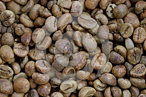 Dry organic green bean coffee