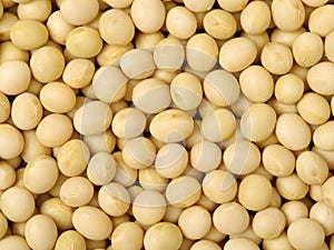 Dry Organic Soybeans