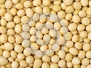 Dry Organic Soybeans