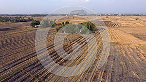 Dry paddy fields