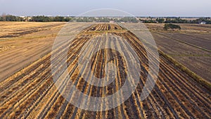 Dry paddy fields