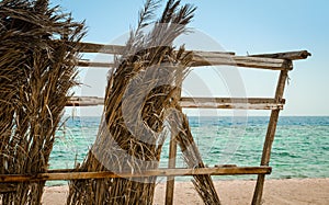 Dry palm branches on the background of the sea and clear sky close up