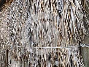 Dry palm tree wall in tropical construction. Dry old palm leaves, background texture