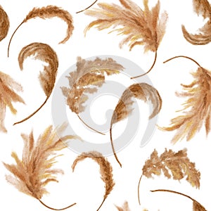 Dry pampas grass in curves seamless pattern. Watercolor curled dried flower repeated background