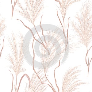 Dry pampas grass seamless vector pattern. Watercolor floral autumn background. Boho fall texture illustration