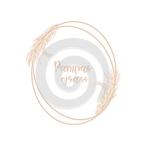 Dry Pampas grass soft oval frame for wedding invitations or postcards. Background in boho style. Flat lay with copy