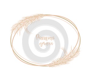 Dry Pampas grass. Soft oval frame for wedding invitations or postcards. Vector hand drawn illustration on a white