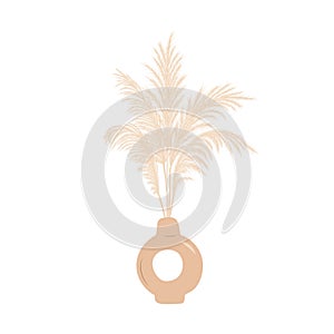 Dry pampas grass in vase. Set of cortaderia arrangements in boho style. Vector dried flowers isolated on white