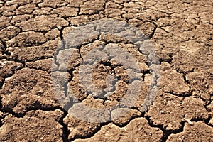 Dry, Parched Earth