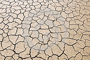 Dry parched earth