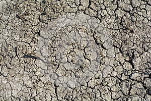 Dry and parched ground on the prairie due to dry conditions and drought.