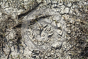 Dry and parched ground on the prairie due to dry conditions and drought.