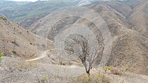 Dry Parched Hills and Meadows