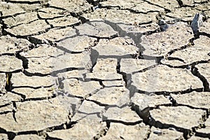 Dry parched land