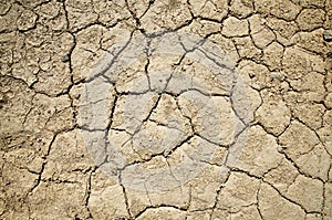 Dry Parched Textured Death Valley Ground