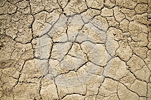 Dry Parched Textured Death Valley Ground photo