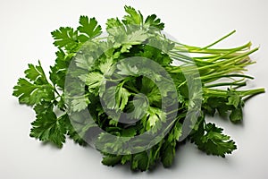 Dry Parsley on white background