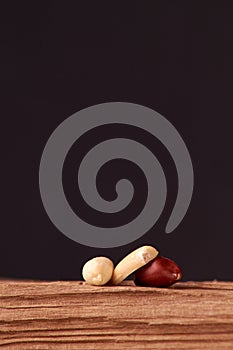 dry peanuts background. close up dry peanuts. Selective focus. nice bokeh