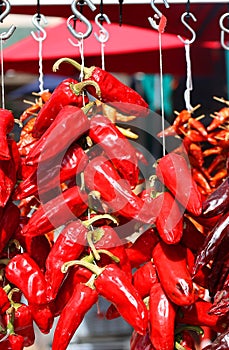 Dry peppers: Pimientos Choriceros, dry hot guindilla peppers photo
